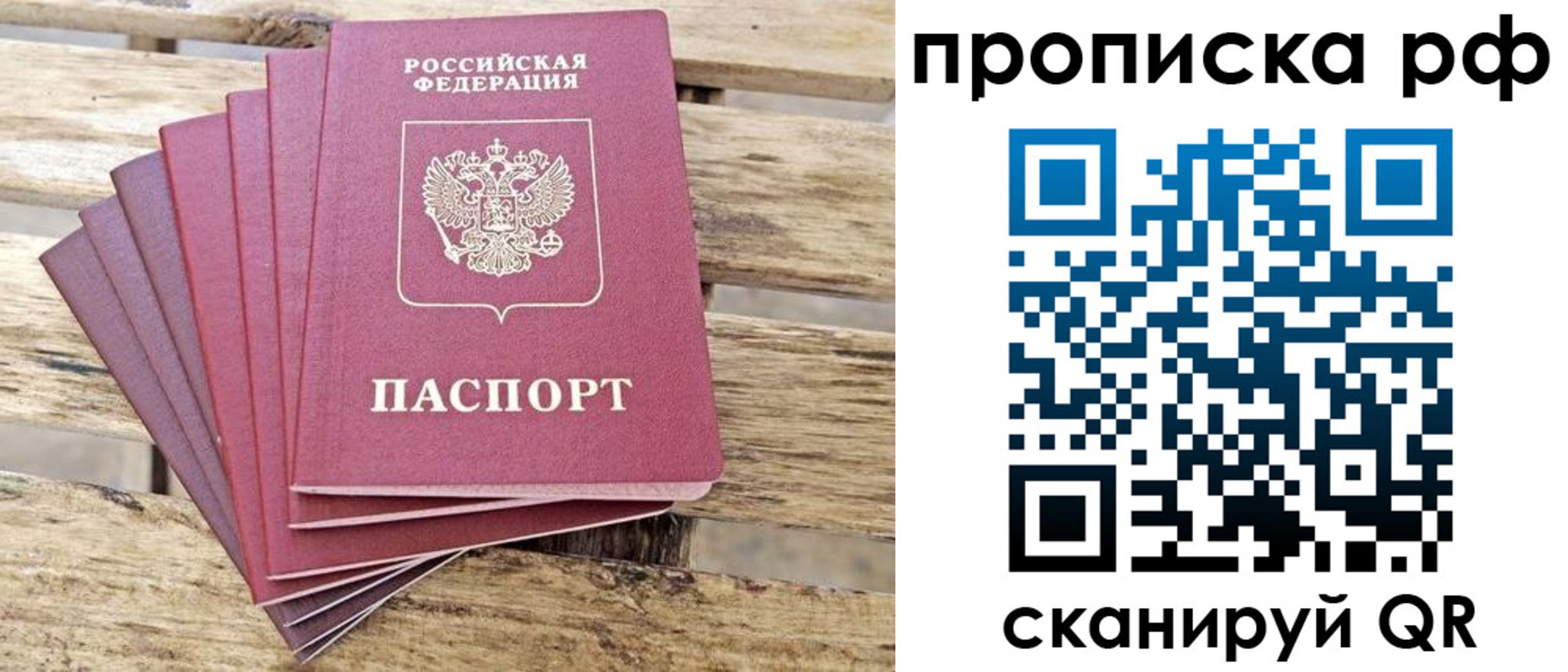 прописка гарантия в Новодвинске